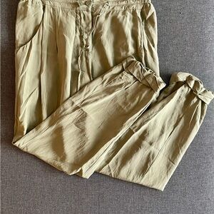 Wilfred Silk Green Drawstring Pants Size 2